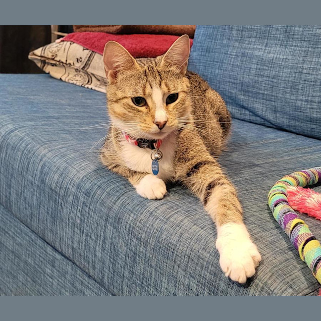 Photo of Belle