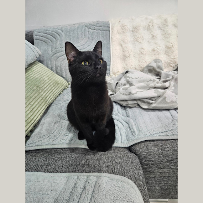 Photo of Bell