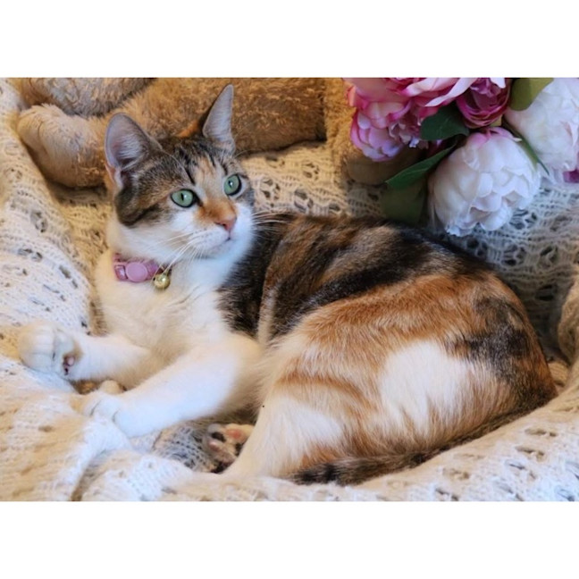 Photo of 12023   Martha