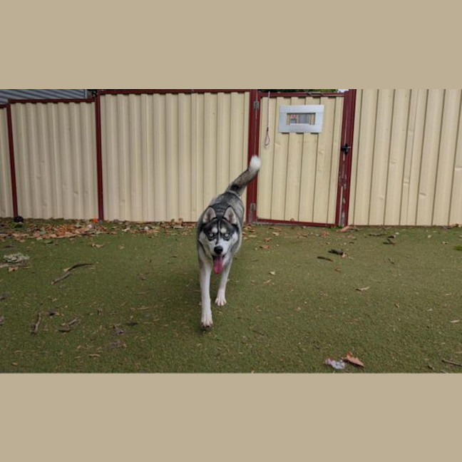 Photo of Hunter