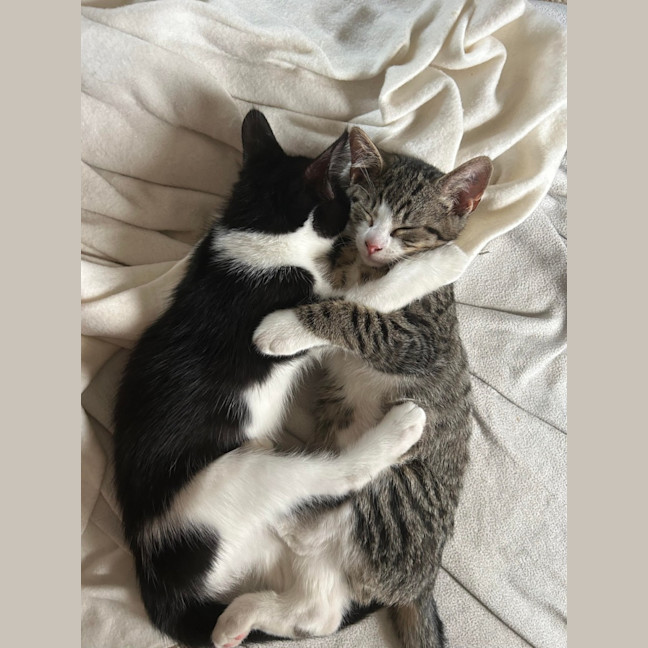 Photo of Olivia Benson & Elliot 