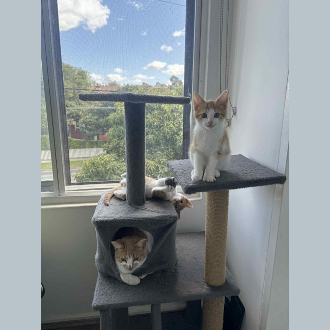 Photo of Elodie & Etienne