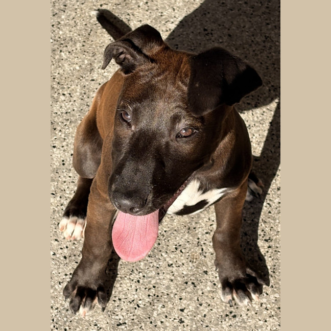Photo of Nellie