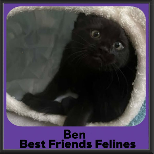 Photo of Ben