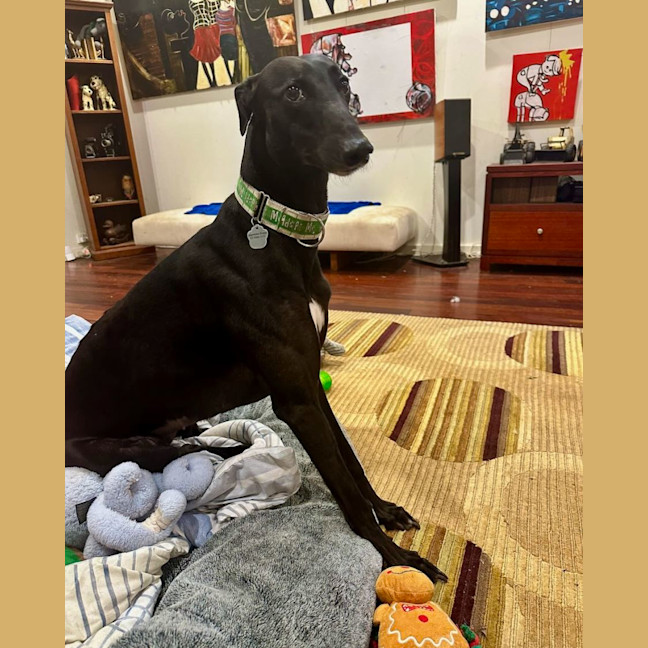 Photo of Keira