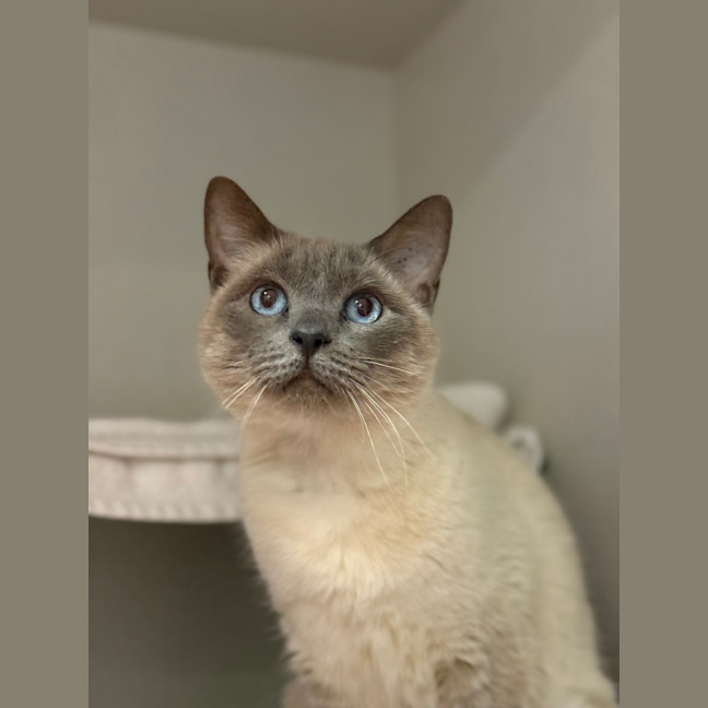 Photo of Precious