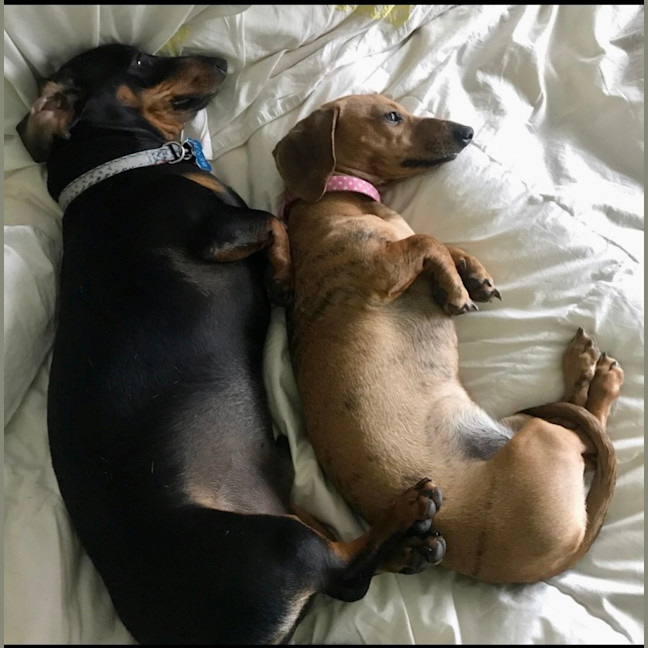 Photo of Benji And Saide