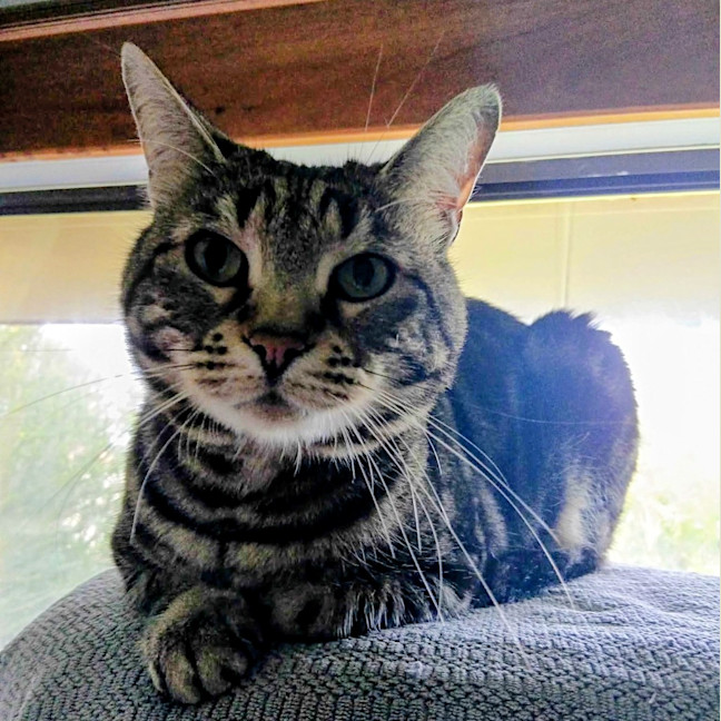 Photo of Charlie