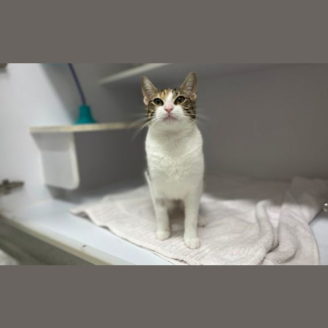 Photo of Meredith