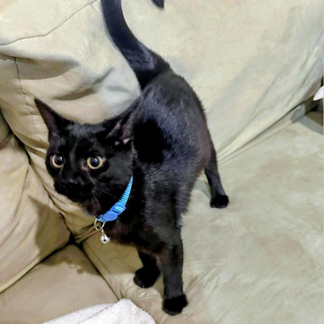 Photo of Bubbles
