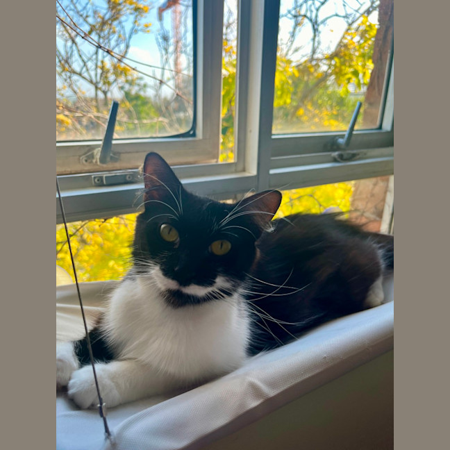 Photo of Polly