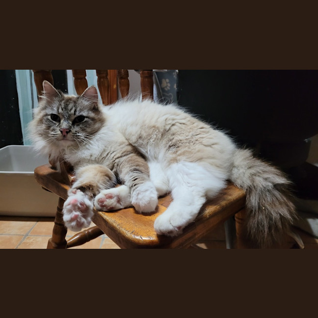 Photo of Zeus