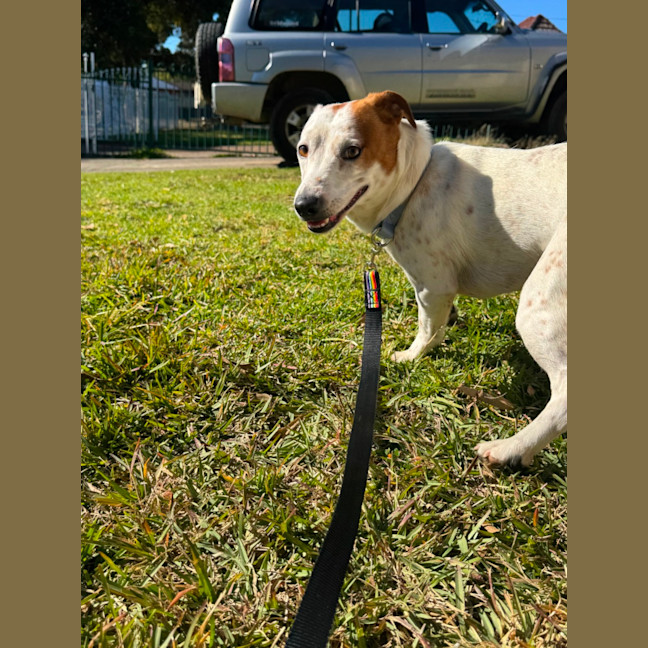 Photo of Coco