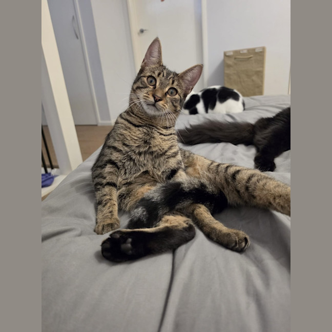Photo of Lilo