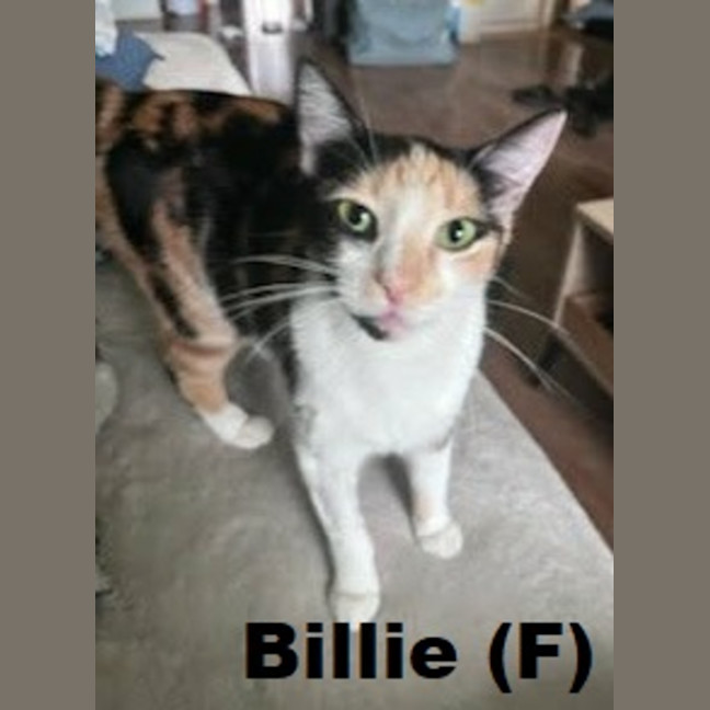 Photo of Billie