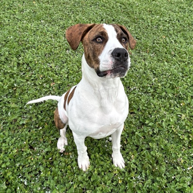 Photo of Buster