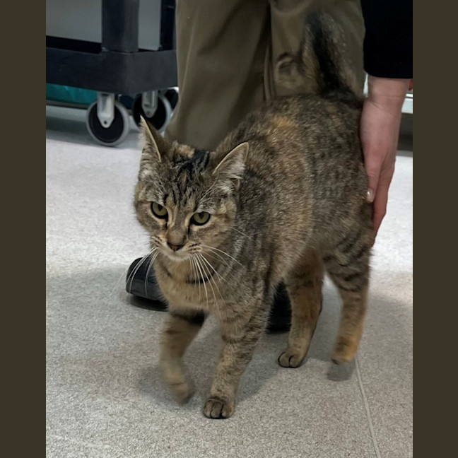 Photo of Sally Field (9004)