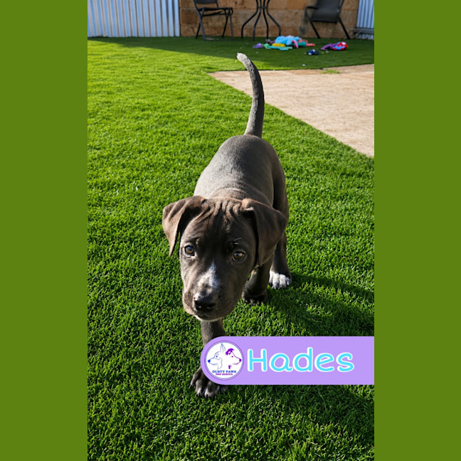Photo of Hades