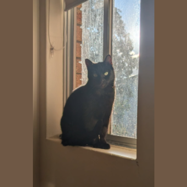 Photo of Lucy