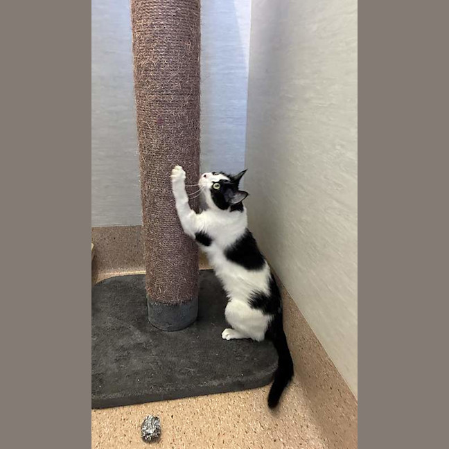 Photo of Penni