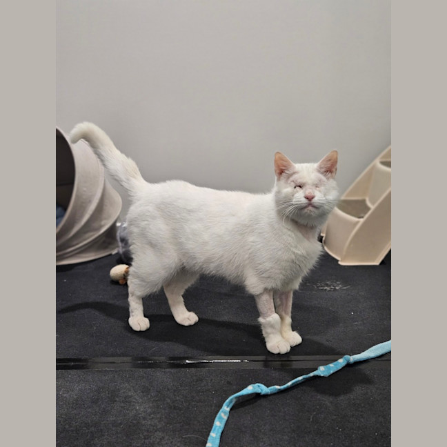 Photo of Tilly