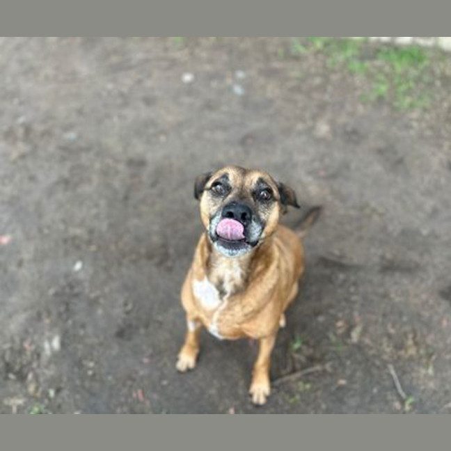 Photo of Buddy