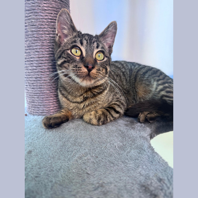 Photo of 🧸 Teddy 🧸