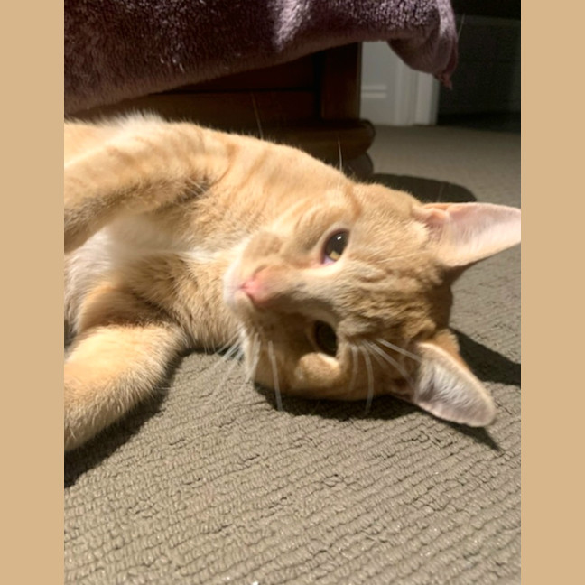 Photo of Sammy