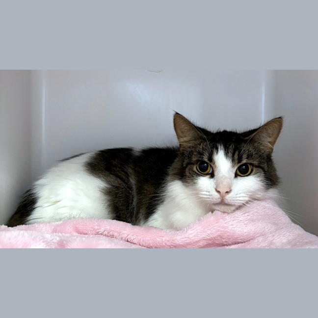 Photo of Milo Sua013801