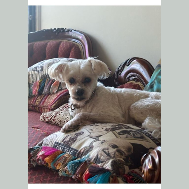 Photo of Wally And Ollie Peggotty