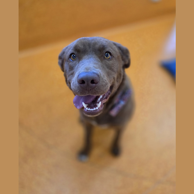 Photo of Ivy