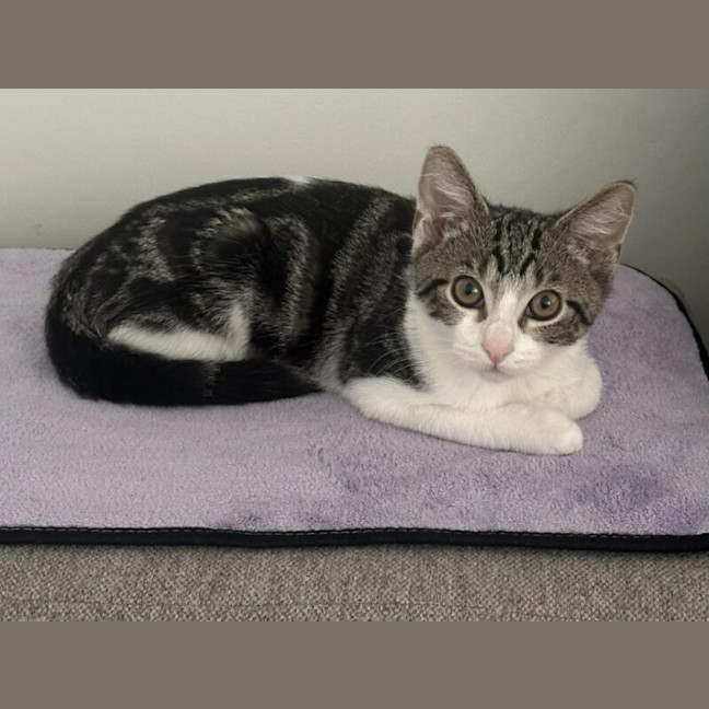 Photo of Tabitha
