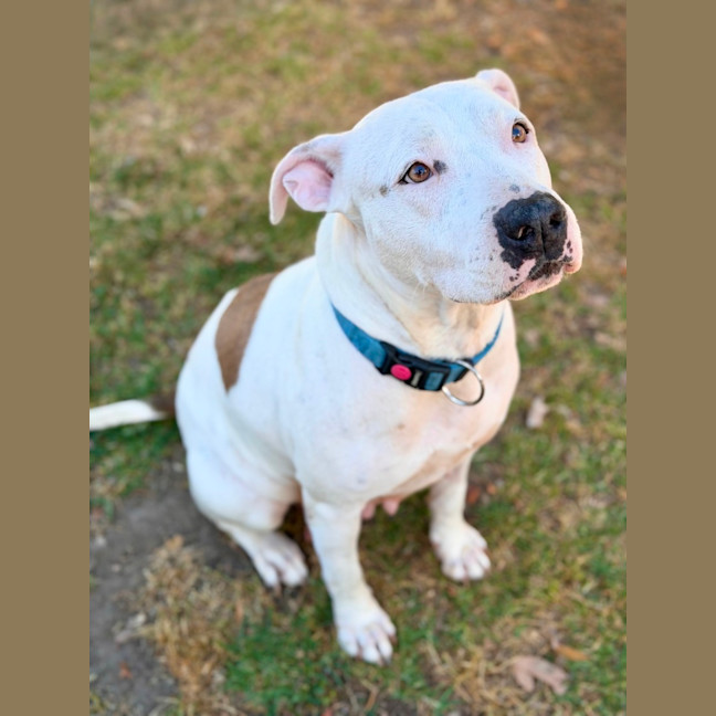 Photo of Marley