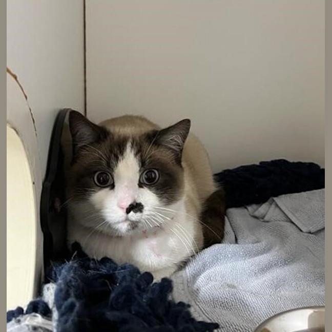 Photo of Wilbur
