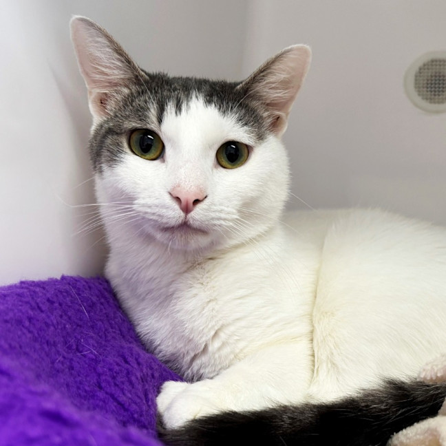 Photo of Drew Sua013528