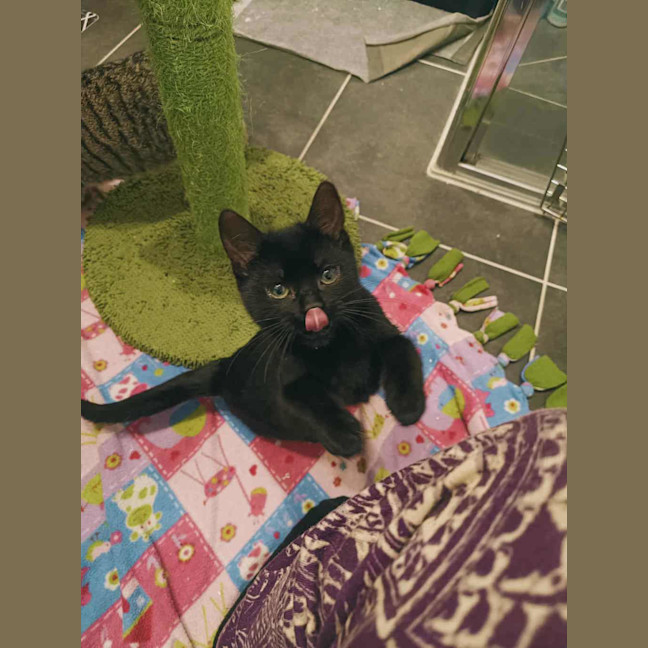 Photo of Etienne (Was Curly Sue)