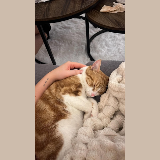 Photo of Pumpkin Patrol Officer