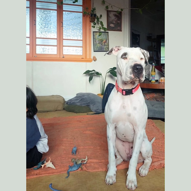 Photo of Lilli