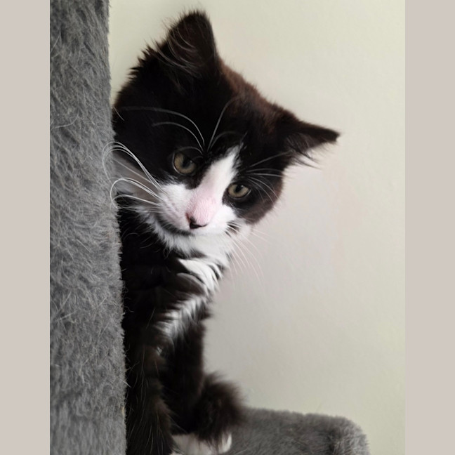 Photo of Harriet