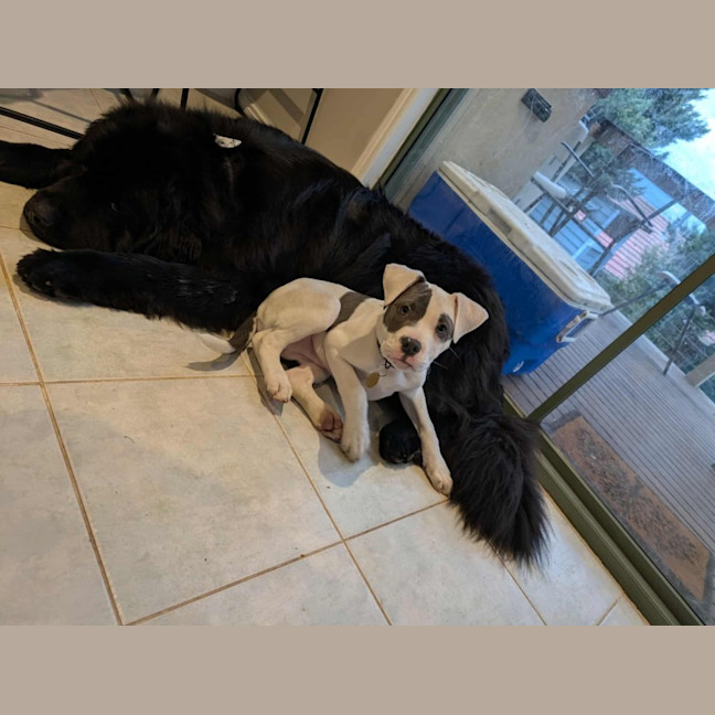 Photo of Whitten
