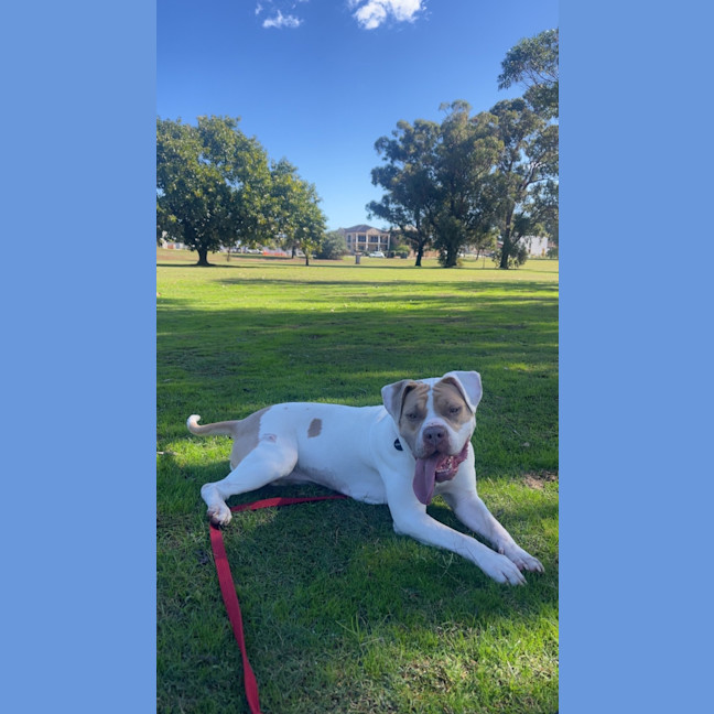 Photo of Bellie
