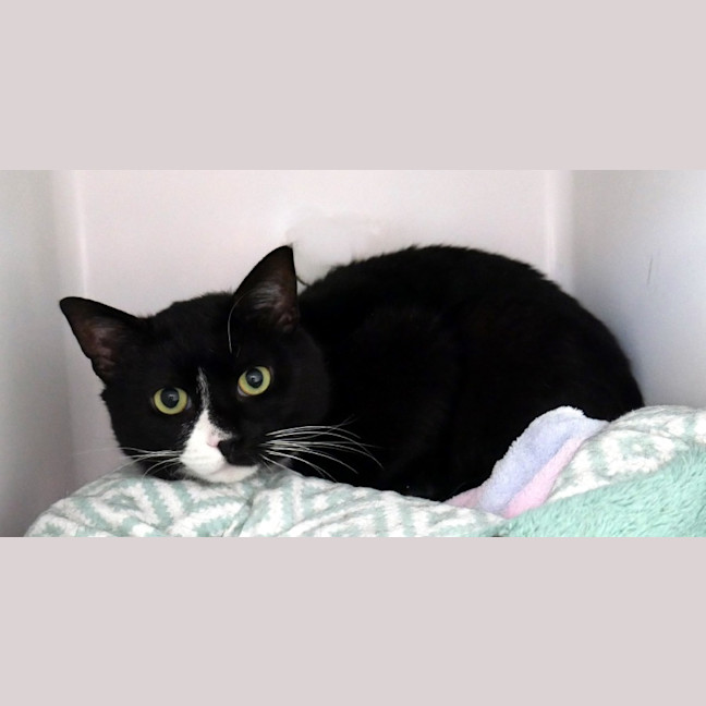 Photo of Hugo Sta012822