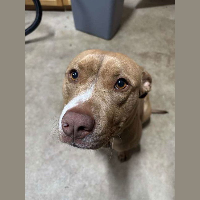 Photo of Kali