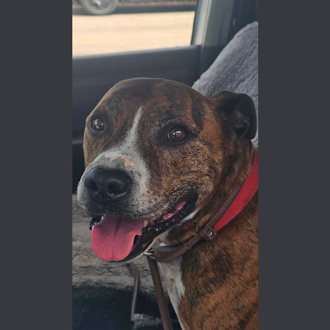 Photo of Turbo