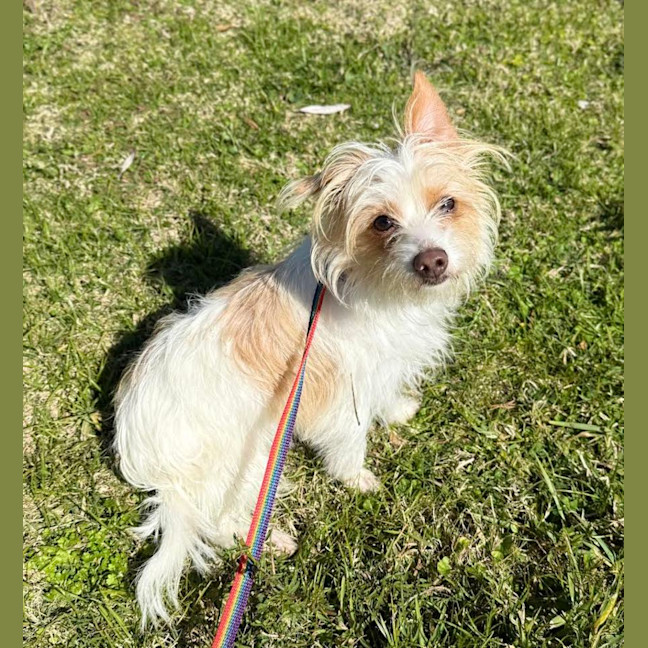 Photo of Bert (9003)