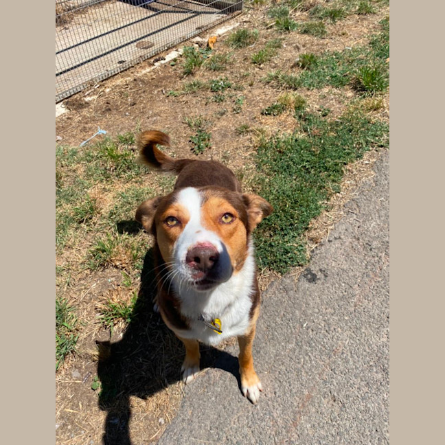 Photo of Ace