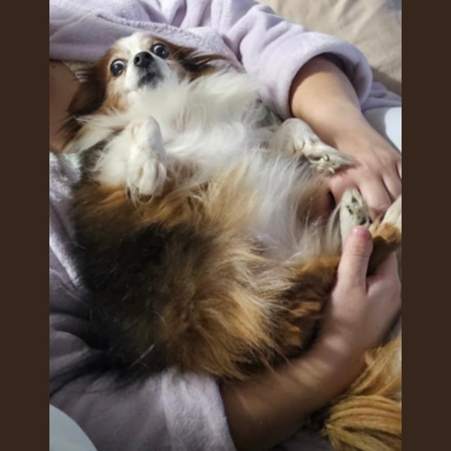 Photo of Monni