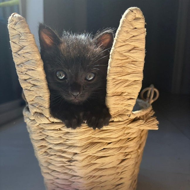 Photo of Miles