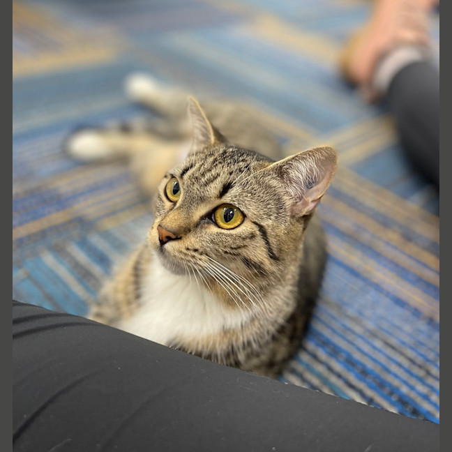 Photo of Willow
