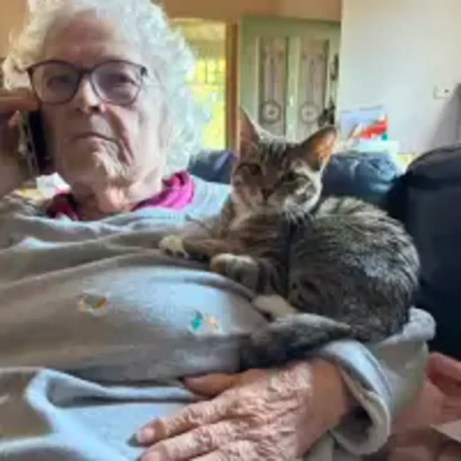 Photo of Enchantress   Bonded With Batman